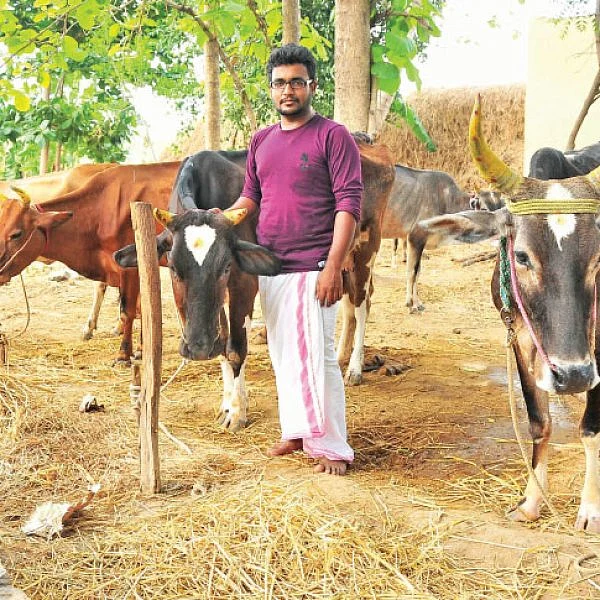 இனிக்கும் இயற்கை விவசாயம்... லாபம் தரும் கறவைமாடு வளர்ப்பு!