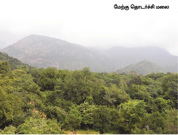 தமிழகம் இன்ஃபோ ஸ்பெஷல் #5 - திருநெல்வேலி 200 - இன்ஃபோ புக்