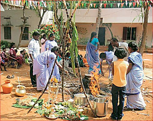 இல்லங்கள் நிறையும் இதயங்கள் பூரிக்கும்! - தை மாத சிறப்பு தொகுப்பு