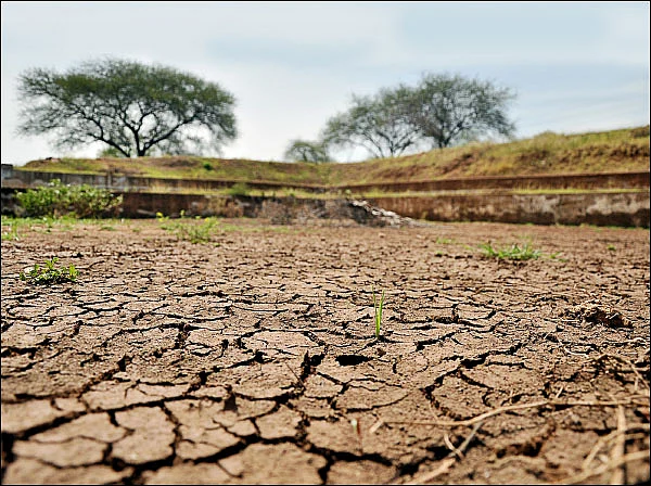 நீரின்றி அவளுலகம் அமையாது - ப்ரேமா ரேவதி