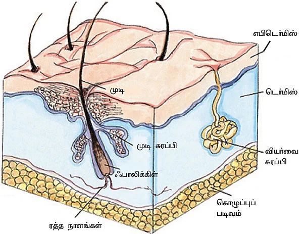 ஸ்வீட் எஸ்கேப் - 14