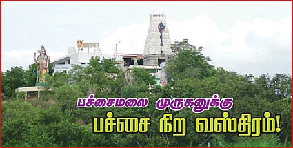 பச்சைமலை முருகனுக்கு பச்சை நிற வஸ்திரம்!