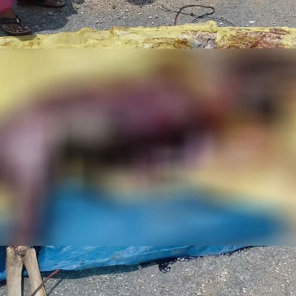 திருப்பூரில் மான் கறி விற்க முயன்ற நபர் கைது!