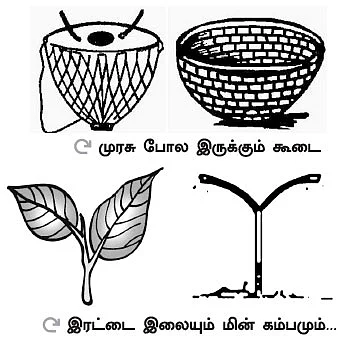 சின்னத்தை காவு வாங்கிய சின்னம்மா! - டெல்லி TO ஆர்.கே.நகர்