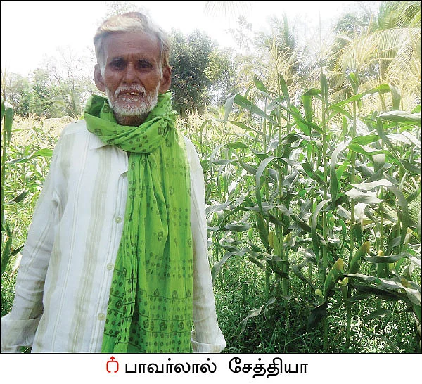 ‘பசுமை’ காட்டிய பாதை! - சத்தீஸ்கரில் மலரும் இயற்கை விவசாயம்!