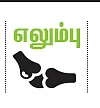 டிப்ஸ்