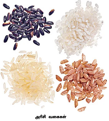 மை டியர் ஜீபா...