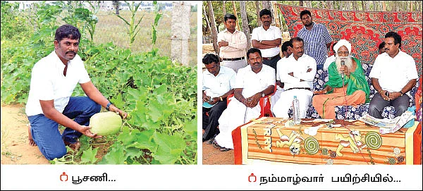 வரிசையாக வட்டப்பாத்திகள்... குறைந்த இடத்தில் குதூகல சாகுபடி!