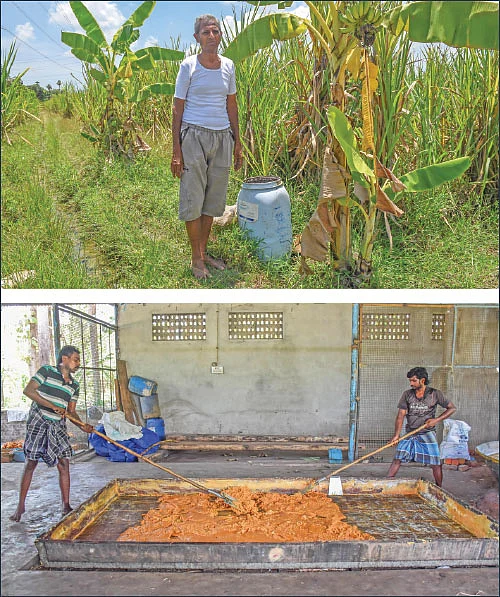 கூடுதல் லாபம் தரும் ‘சேலம்’ குண்டு வெல்லம்!