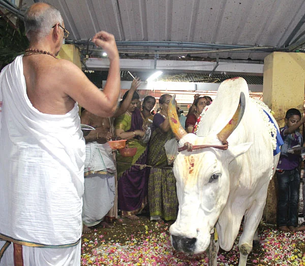 `இது கர்ப்பக்கிரகம் !'