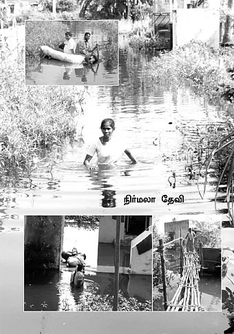 பயமுறுத்தும் பாம்புகள்... ரத்தம் உறிஞ்சும் அட்டைகள்!