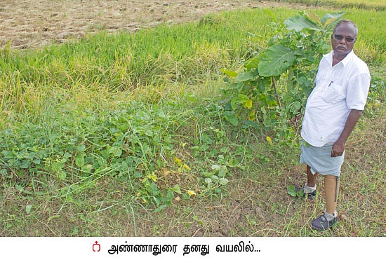 நம்பிக்கை கொடுத்த இயற்கை விவசாயம்...