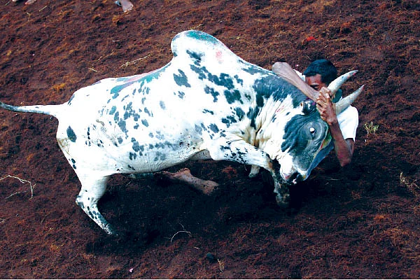 கதை விடுறாங்க!
