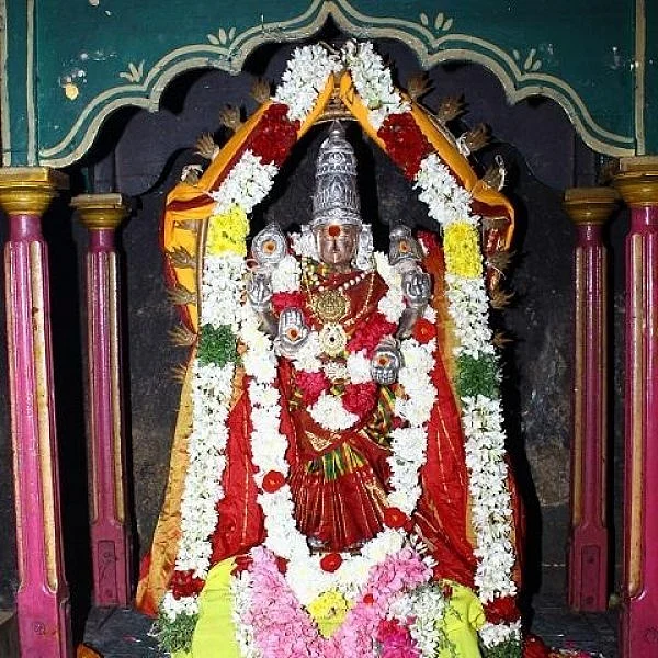 திருமணங்களுக்குத் தனி மண்டபம்... இனி திருக்கடையூர் அமிர்தகடேஸ்வரர் சுப தரிசனம்!
