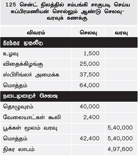 சக்கைப்போடு போடும் இயற்கை சம்பங்கி!