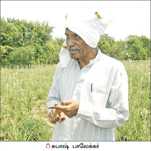 நீங்கள் கேட்டவை: வளமிழந்த நிலத்தை ஜீரோ பட்ஜெட் முறையில் வளமாக்க முடியுமா?