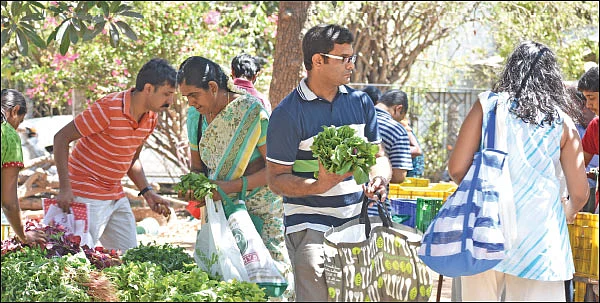 விளையும் விலையும்! - சந்தைக்கு வழிகாட்டும் தொடர் - 14