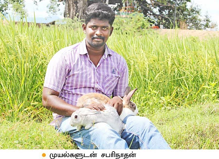 என் செல்லமே...