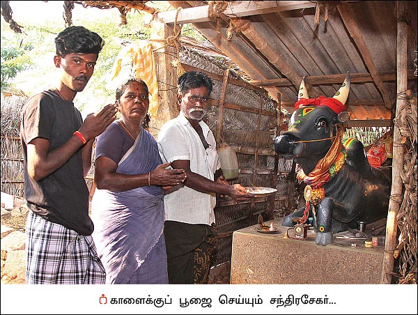 ‘‘எனக்கு அண்ணன்... பிள்ளைகளுக்குப் பெரியப்பா!’’ - காளையைக் கொண்டாடும் விவசாயி!