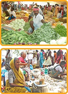 கருவாடு வாங்கினால் போட்டோ ஃப்ரீ!