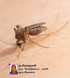 சுட்டி ஸ்டார் நியூஸ்