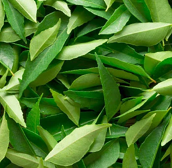 அஞ்சறைப்பெட்டி அருமருந்து