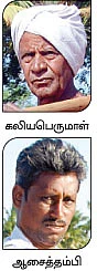 கோடை உழவு... பொன்னேர்...விதை முகூர்த்தம்...