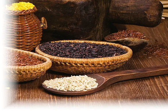 உணவு யுத்தம்!
