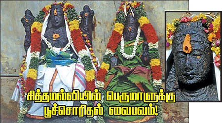 சித்தமல்லியில் பெருமாளுக்கு பூச்சொரிதல் வைபவம்!