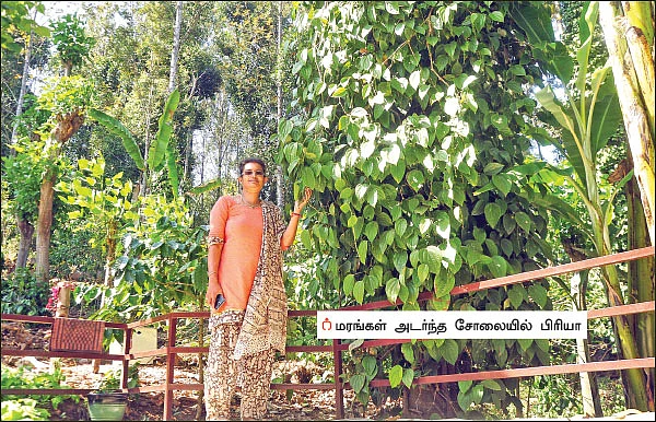 அமெரிக்க வாழ் இந்தியரின் ஆத்மார்த்த விவசாயம்...