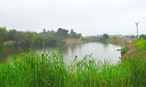 வழிகாட்டுகிறது தருமபுரி... குப்பை மேட்டை, ஏரியாக மாற்றிய இளைஞர்கள்! (வீடியோ!)