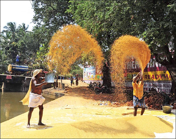 உலக அரசியலைத் தீர்மானிக்கும் விதைகள்!
