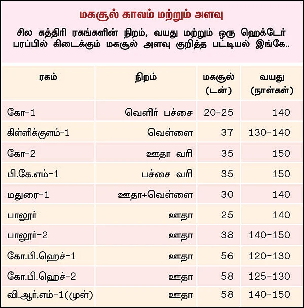 கத்திரிக்காய்... நல்ல மகசூல் எடுக்க எளிய தொழில்நுட்பங்கள்..!