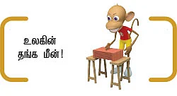 நம்பர் 1 கேட்டி லெடக்கி