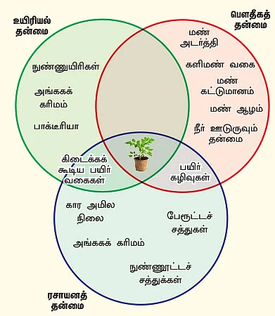 மண்ணுக்கு மரியாதை!