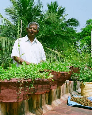 நோய்கள் தீர்க்கும் காய்கள், கனிகள்!