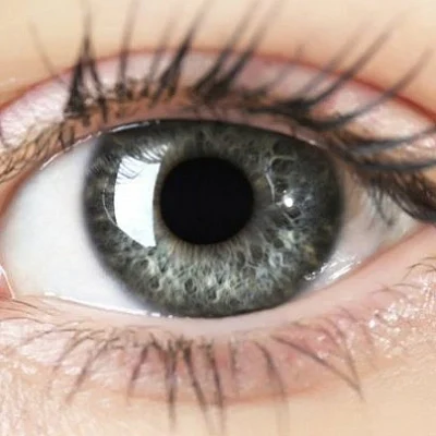 Eye