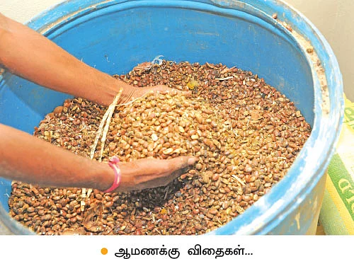 12 ஏக்கரில் 17 லட்சம் வருமானம்...