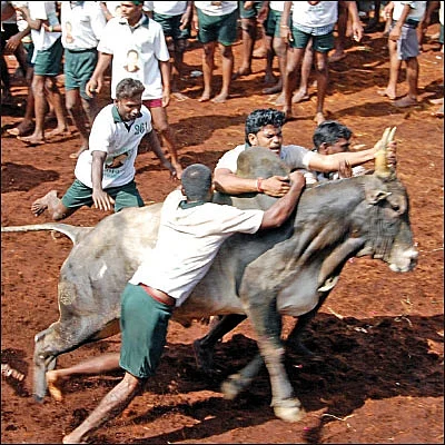 2016-ல் தமிழகத்தைத் தடதடக்கவைத்த டாப் 50 சம்பவங்கள்!