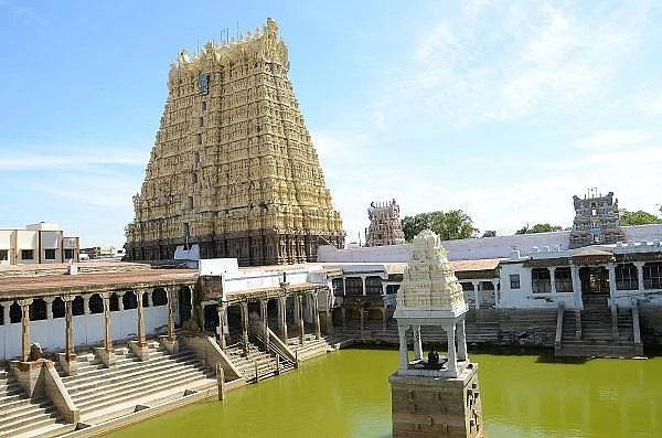ஆடித் தபசு திருவிழா... சங்கரநாராயண சுவாமி கோயிலில் தேரோட்ட ஏற்பாடுகள் தீவிரம்!