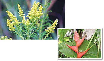 நீங்கள் கேட்டவை