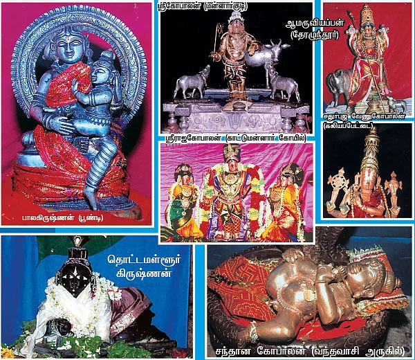 ஸ்ரீகிருஷ்ண தரிசனம்!