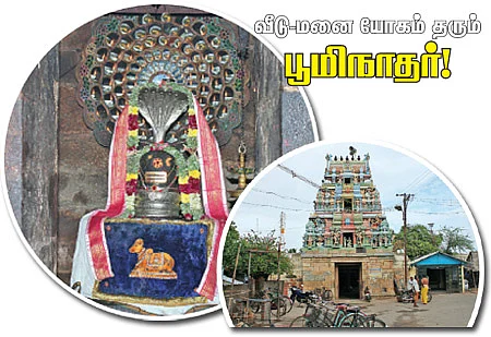 வீடு-மனை யோகம் தரும் பூமிநாதர்!