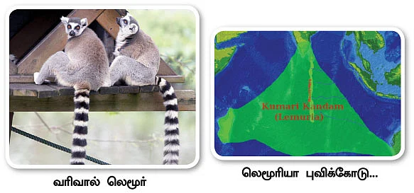மாயா டீச்சரின் மந்திரக் கம்பளம் !