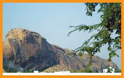 வலையோசை - சித்திரவீதிக்காரன்