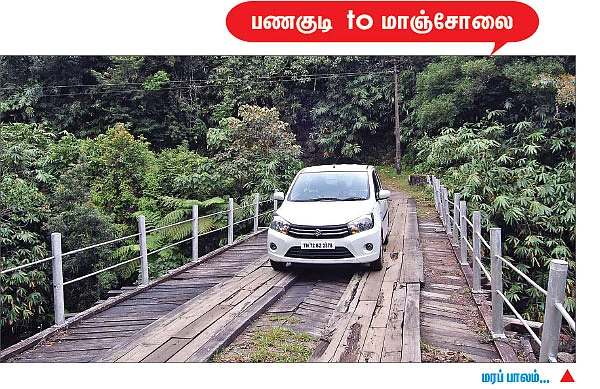 மாஞ்சோலை மலையில் செலெரியோ!