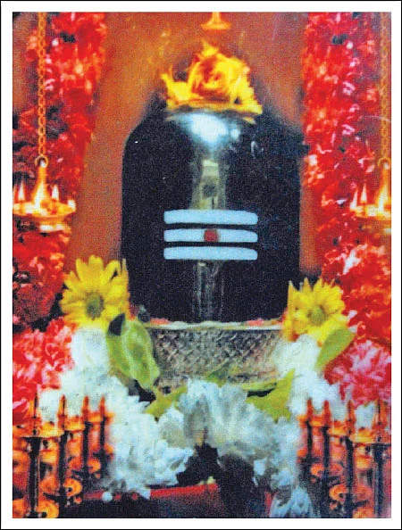 வள்ளி ஆற்றின் கரையில் மகாதேவர் தரிசனம்!