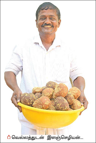 நாட்டுச் சர்க்கரையில் நல்ல வருமானம்! - 13 ஏக்கர்... 10 மாதங்கள்... ரூ 10 லட்சம்