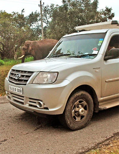 கிரேட் எஸ்கேப் - கோவை to கர்நாடகா