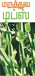 மருத்துவ டிப்ஸ், செல் டிப்ஸ், சமையல் டிப்ஸ்